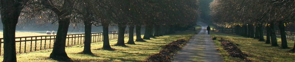 Test Herdenking Vloeiweide
